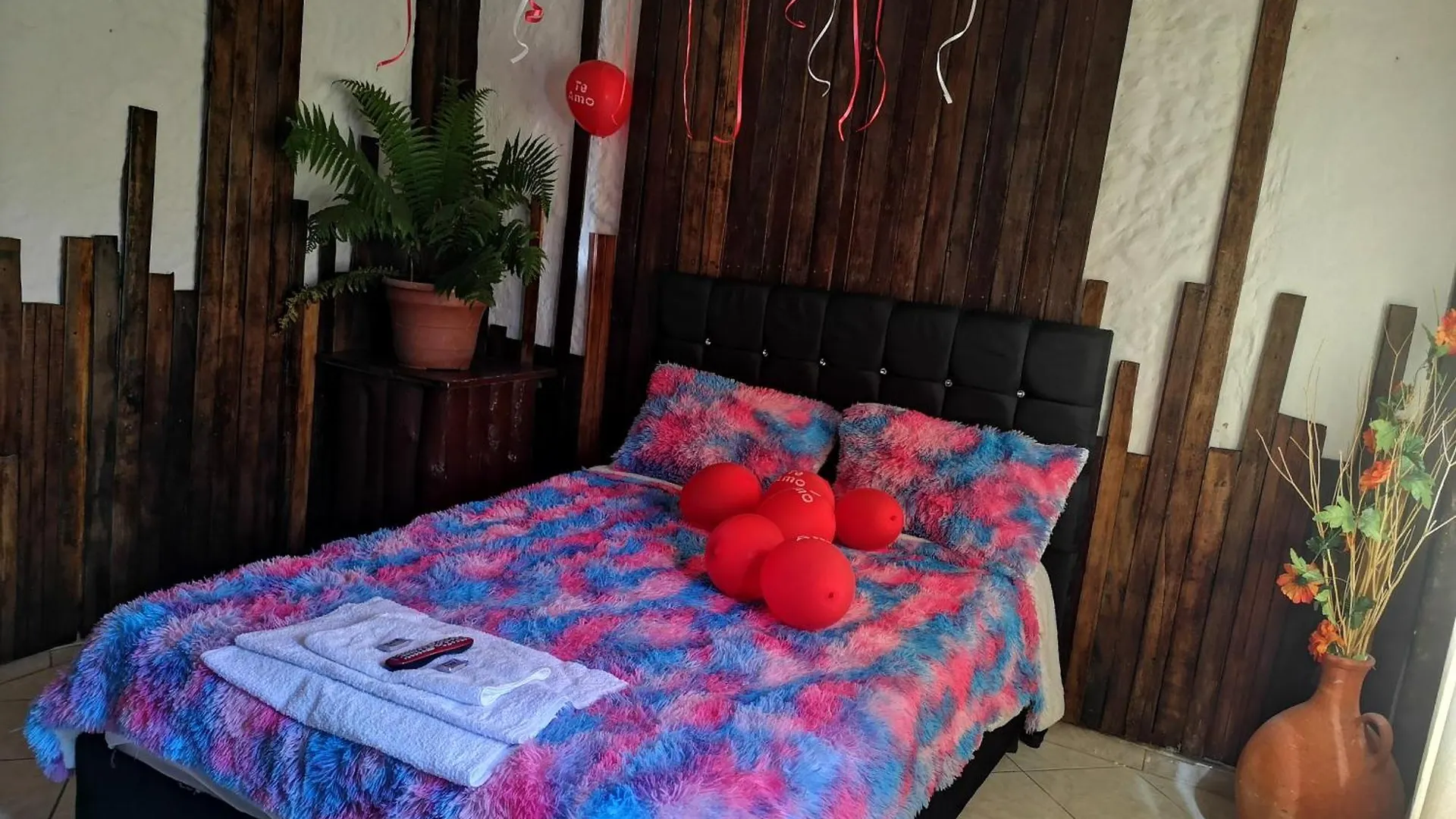 Hostal The Frailejon House Bogotá Colombia