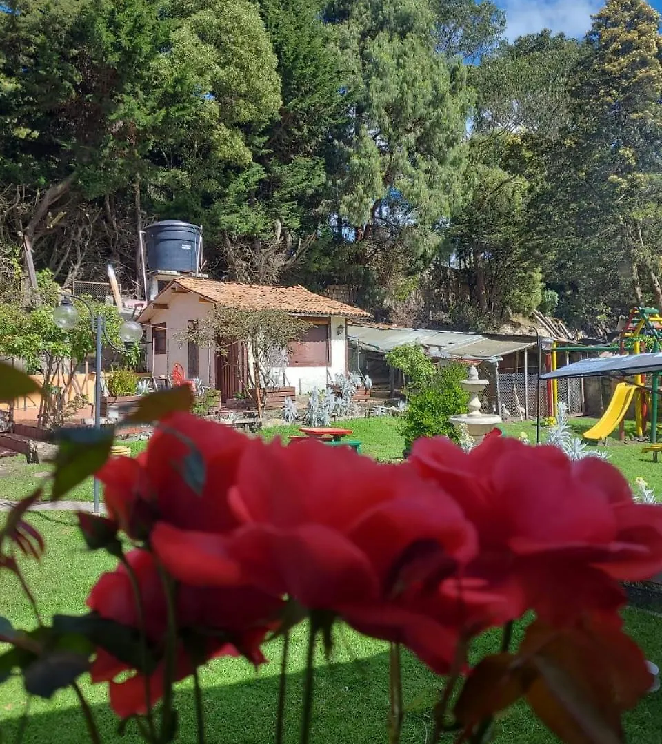 Hostal The Frailejon House Bogotá Colombia